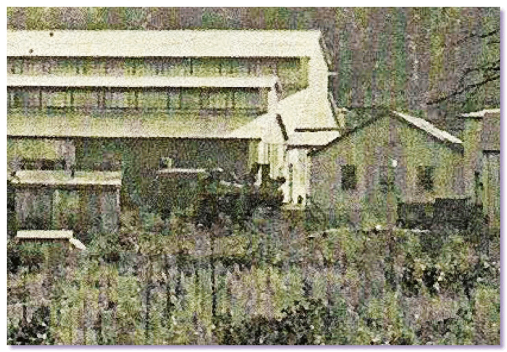 NewMillDetailLocomotives